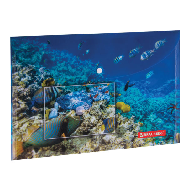Папка-конверт на кнопке А4 "Brauberg" SEA WORLD, 160мкм, до 100л, цветная печать / 228041 Папка-конверт на кнопке А4 "Brauberg" SEA WORLD, 160мкм, до 100л, цветная печать / 228041