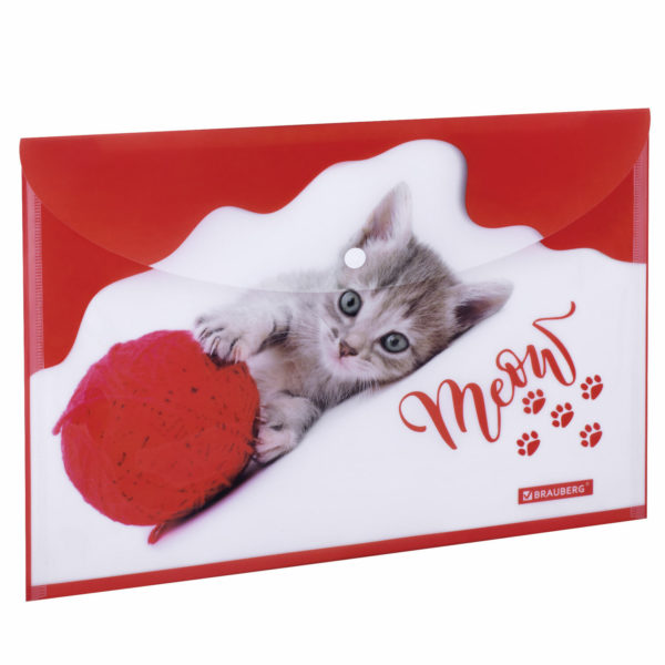 Папка-конверт на кнопке А4 "Brauberg" FUNNY CAT, 160мкм, до 100л, цветная печать / 228038 Папка-конверт на кнопке А4 "Brauberg" FUNNY CAT, 160мкм, до 100л, цветная печать / 228038