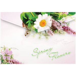 Папка-конверт на кнопке А4 Berlingo "Spring Flowers", 180мкм, рисунок /208099