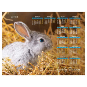 Календарь настенный листовой А2, OfficeSpace "Символ года", 2023 г.																													Кале