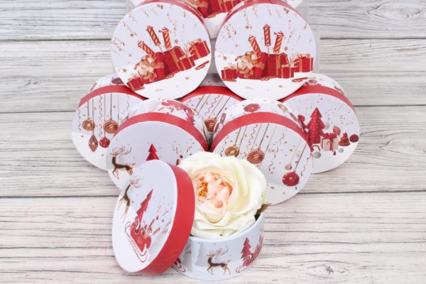 Коробка НГ ЦИЛИНДР 10,8*5,2см /12/