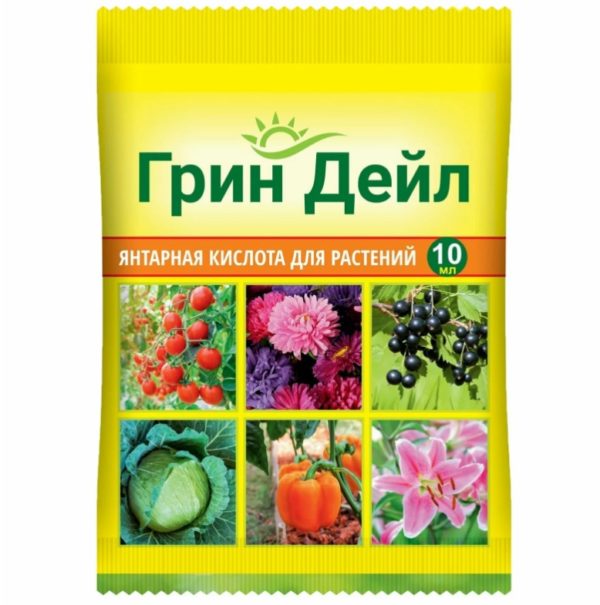 Янтарная кислота Грин дейл 10г
