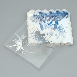 Коробка д/пирожных с PVC c крышкой 21× 21× 3 см, НГ / 5/