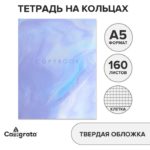 Тетрадь 160л A5 на кольцах, в клетку, Calligrata