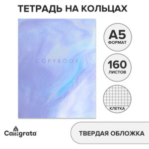 Тетрадь 160л A5 на кольцах, в клетку, Calligrata