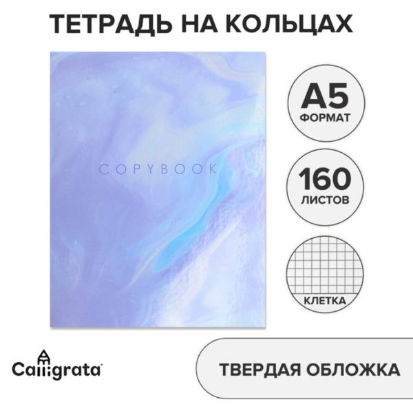 Тетрадь 160л A5 на кольцах, в клетку, Calligrata