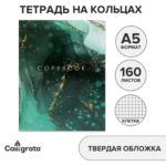 Тетрадь 160л A5 на кольцах, в клетку, Calligrata