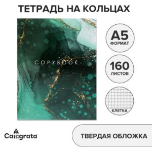 Тетрадь 160л A5 на кольцах, в клетку, Calligrata