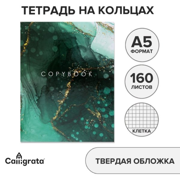 Тетрадь 160л A5 на кольцах, в клетку, Calligrata